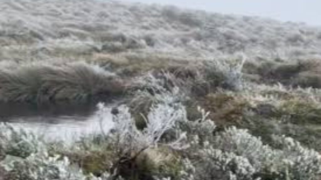 A Chegada da Neve no Brasil: Como o Frio Inesperado Afetou o País 4 Neve no Brasil